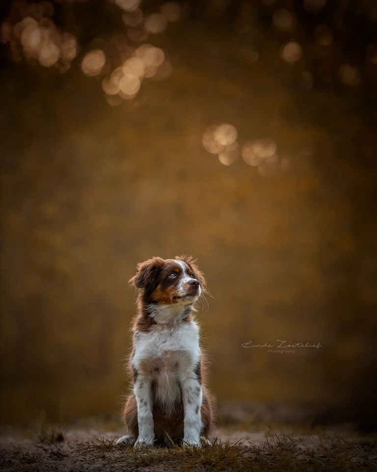 Instagram post from fairytailsfotografie. This post is in position 3.