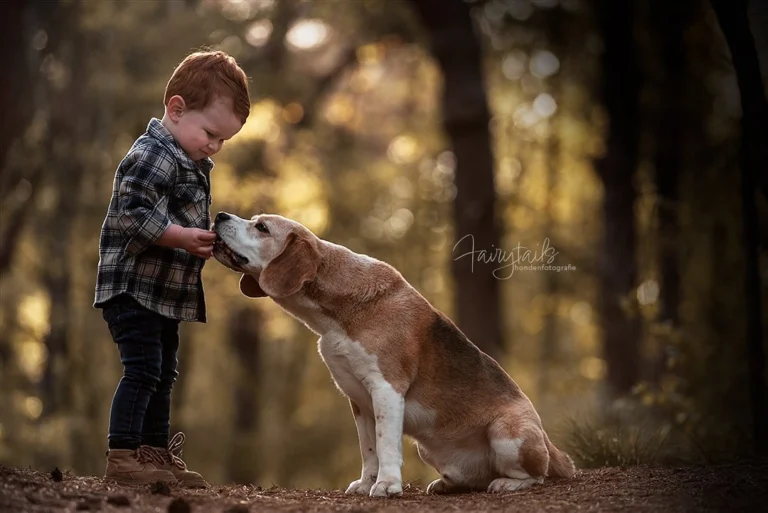 Instagram post from fairytailsfotografie. This post is in position 2.