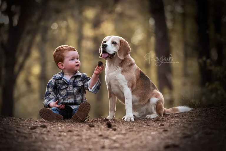 Instagram post from fairytailsfotografie. This post is in position 1.